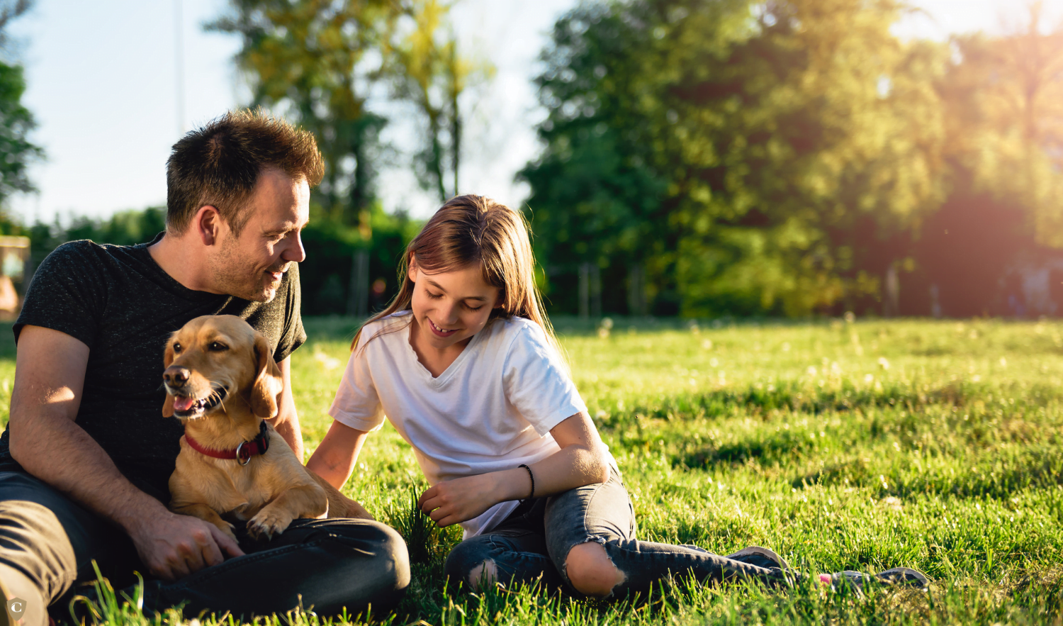 Guide To Child Maintenance Trust